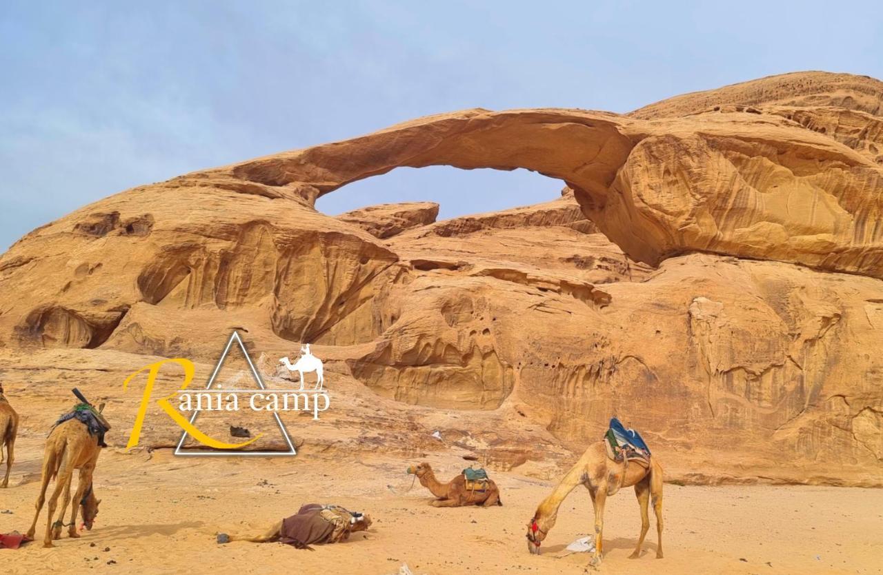 Wadi Rum,Rania Camp المظهر الخارجي الصورة