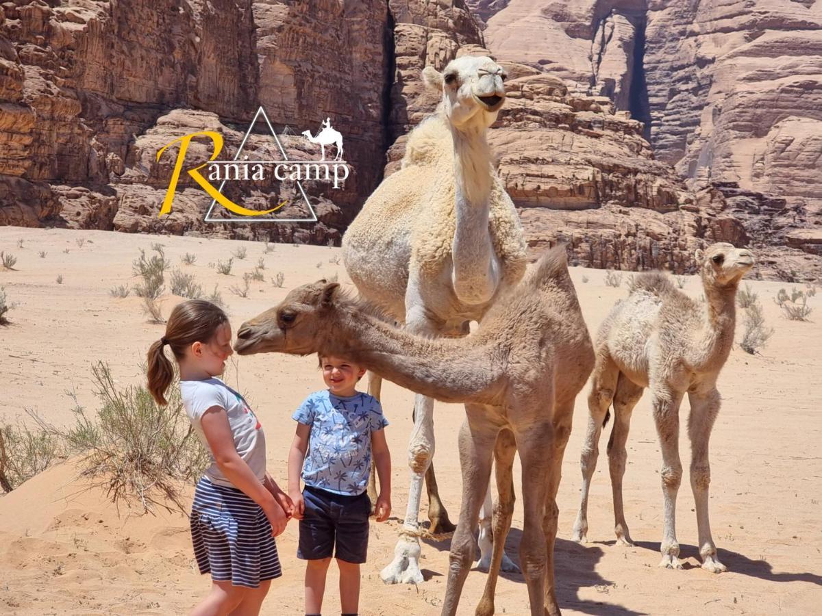 Wadi Rum,Rania Camp المظهر الخارجي الصورة