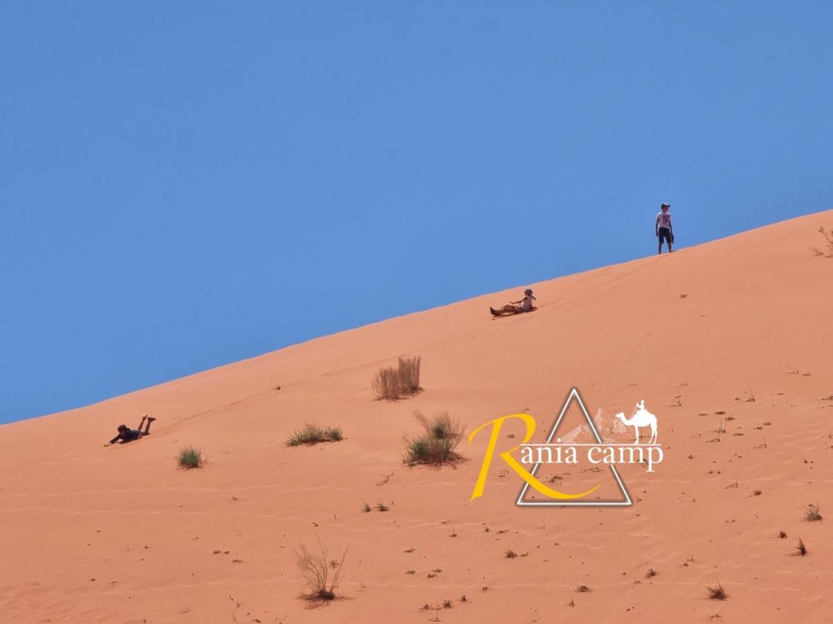 Wadi Rum,Rania Camp المظهر الخارجي الصورة